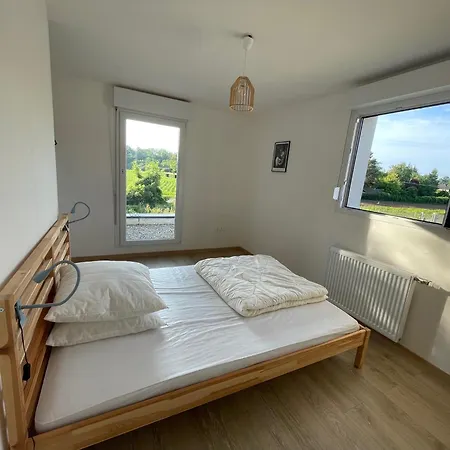 Maisons Neuves Dans Quartier Calme Colmar