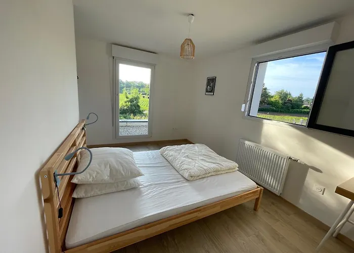 Maisons Neuves Dans Quartier Calme Colmar